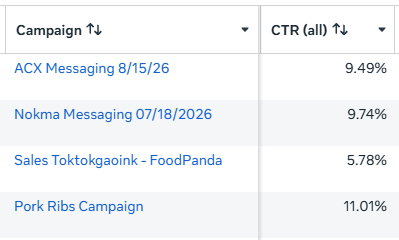 Meta Ads Campaign Manager
